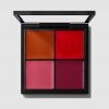 Pro Face Palette: Ρουζ