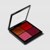 Pro Face Palette: Ρουζ